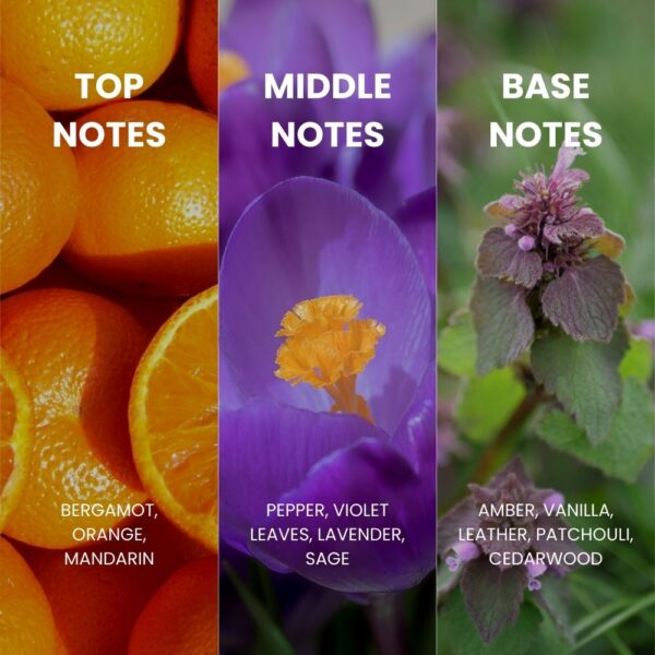 Royal Mirage Gold 120ml EDC